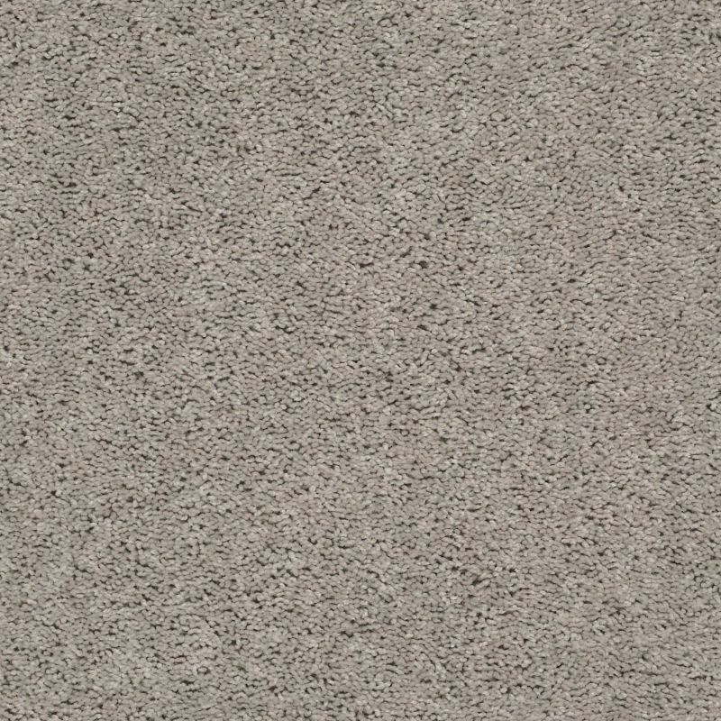 Shaw Floors Value Collections Break Away (s) Net Whisper