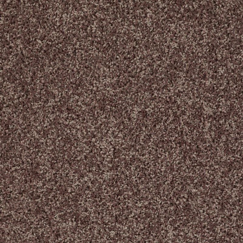 Shaw Floors Value Collections Break Away (s) Net Mocha