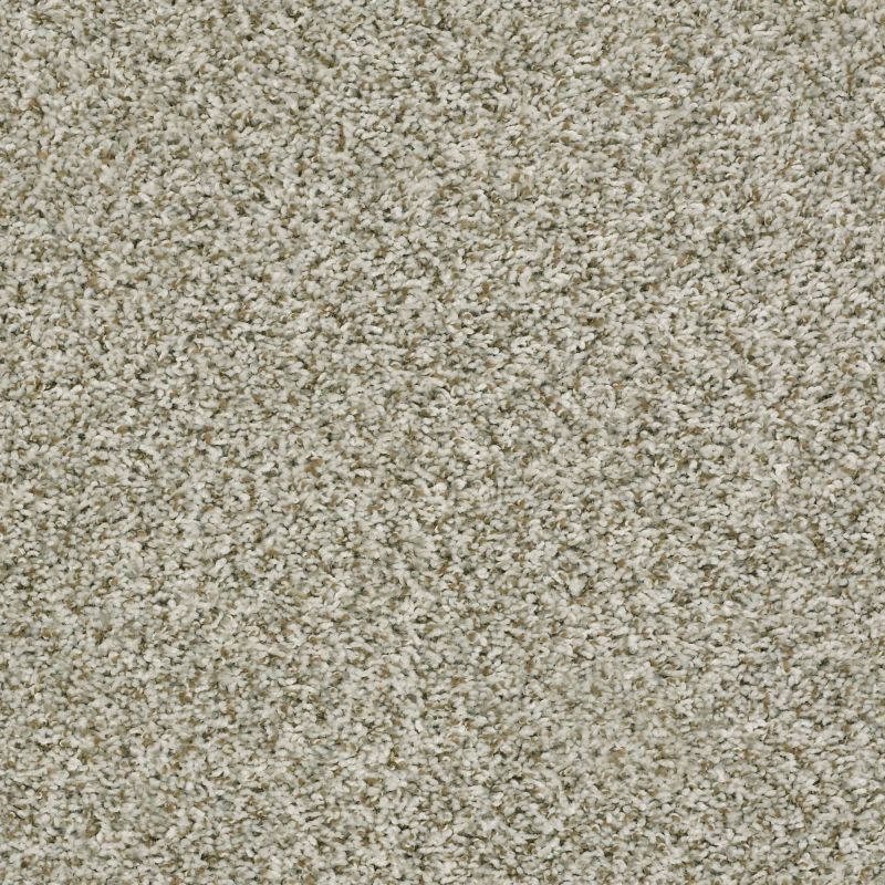 Shaw Floors Value Collections Break Away (t) Net Buff