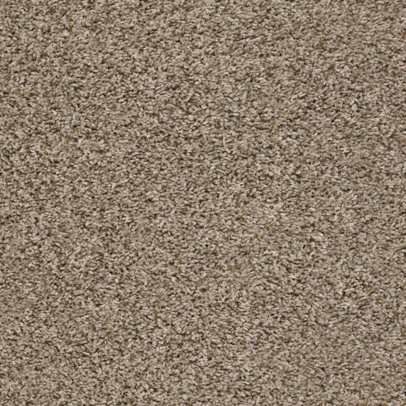 Shaw Floors Value Collections Break Away (t) Net Blond Wood