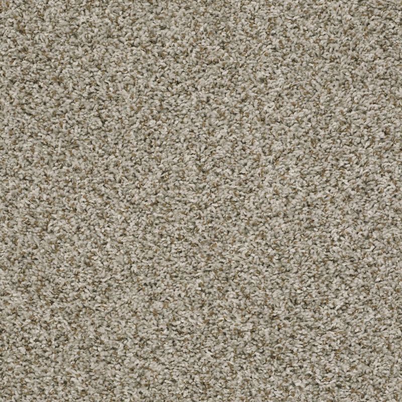 Shaw Floors Value Collections Break Away (t) Net Natural Ivory