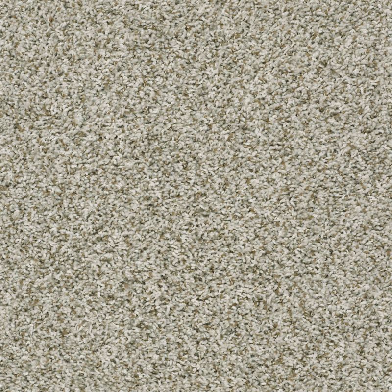 Shaw Floors Value Collections Break Away (t) Net Stepping Stone