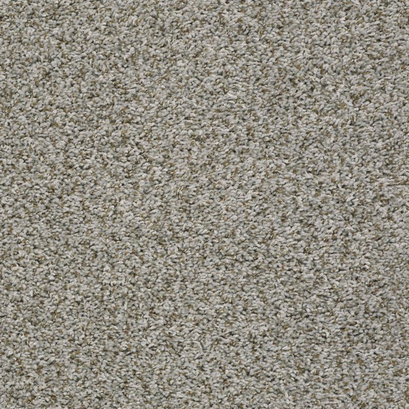 Shaw Floors Value Collections Break Away (t) Net Exposed Beam