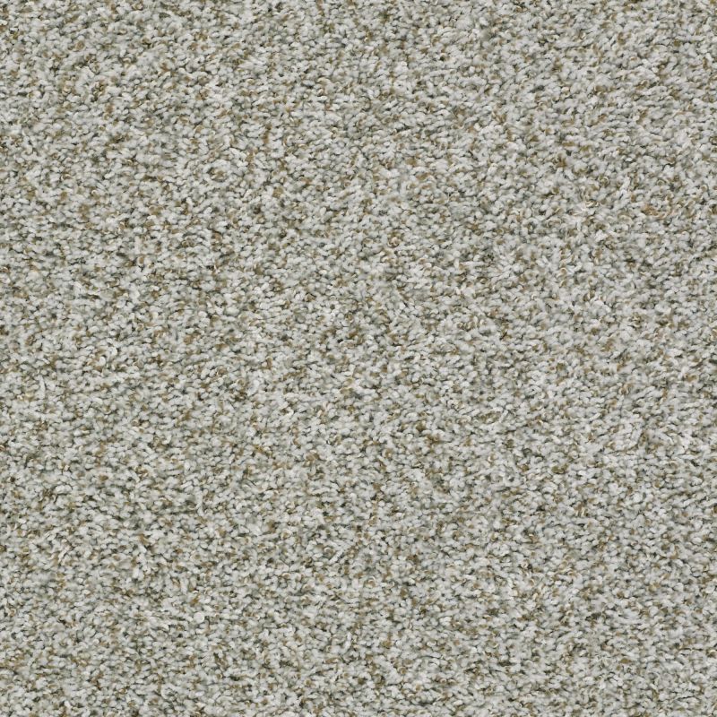 Shaw Floors Value Collections Break Away (t) Net Chrome