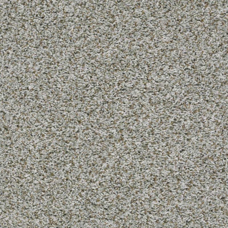 Shaw Floors Value Collections Break Away (t) Net Windy City