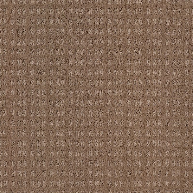 Shaw Floors Foundations Essential Now Raw Wood