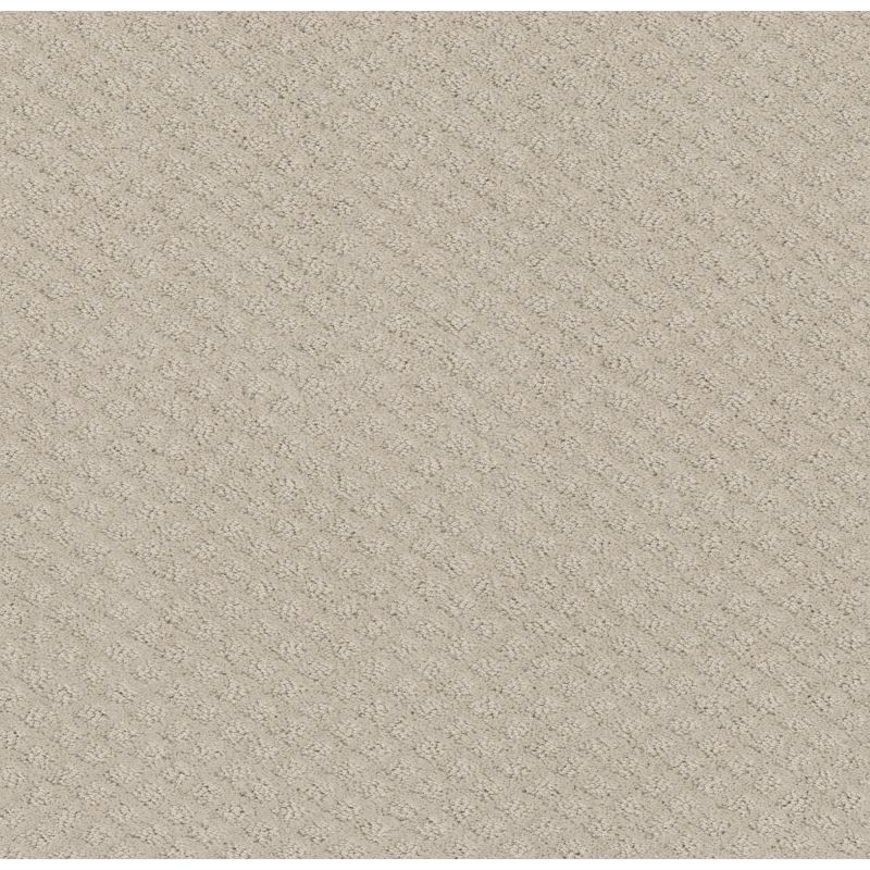 Shaw Floors Foundations Formalize Washed Linen