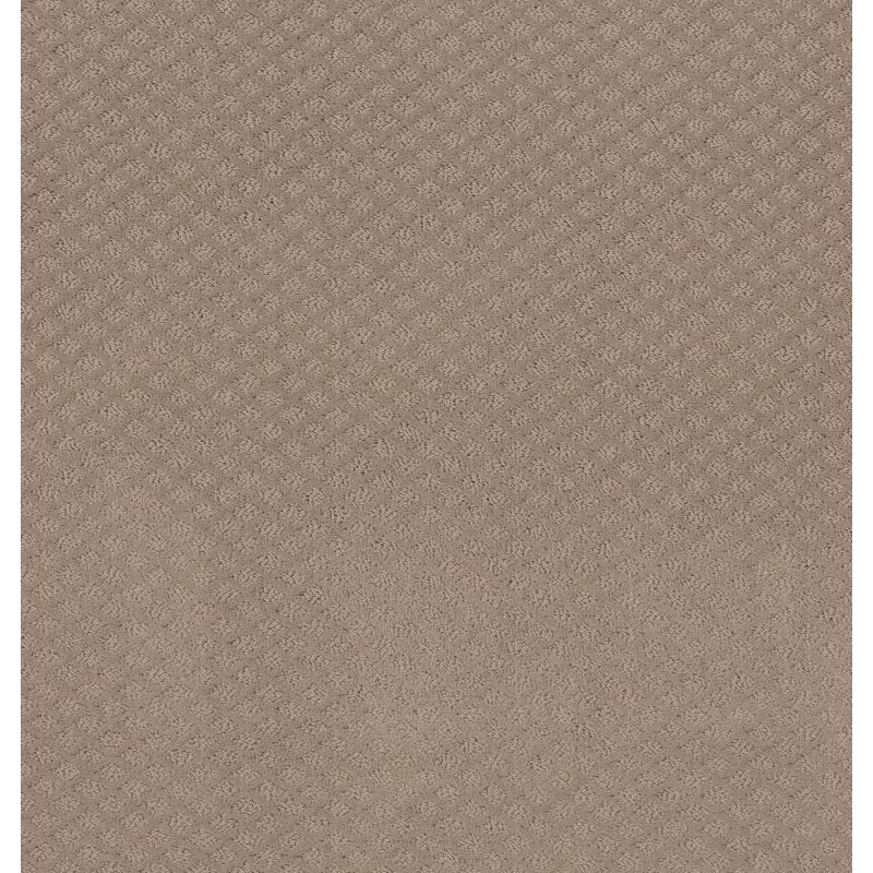 Shaw Floors Foundations Formalize Desert View