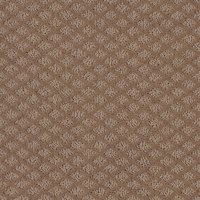 Shaw Floors Foundations Formalize Raw Wood