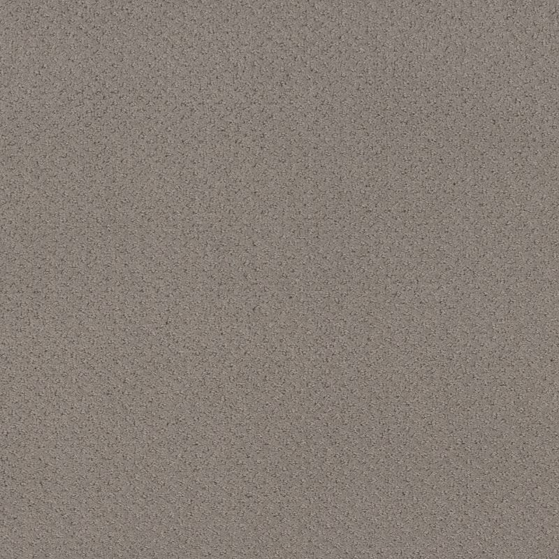 Shaw Floors Foundations Mainstay River Run