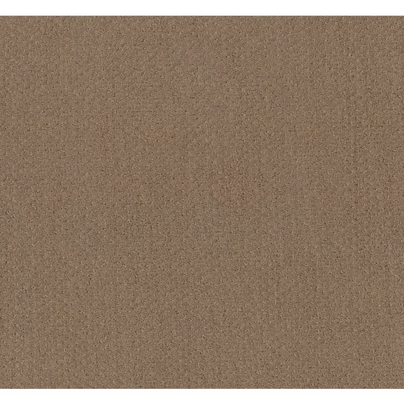 Shaw Floors Foundations Mainstay Raw Wood