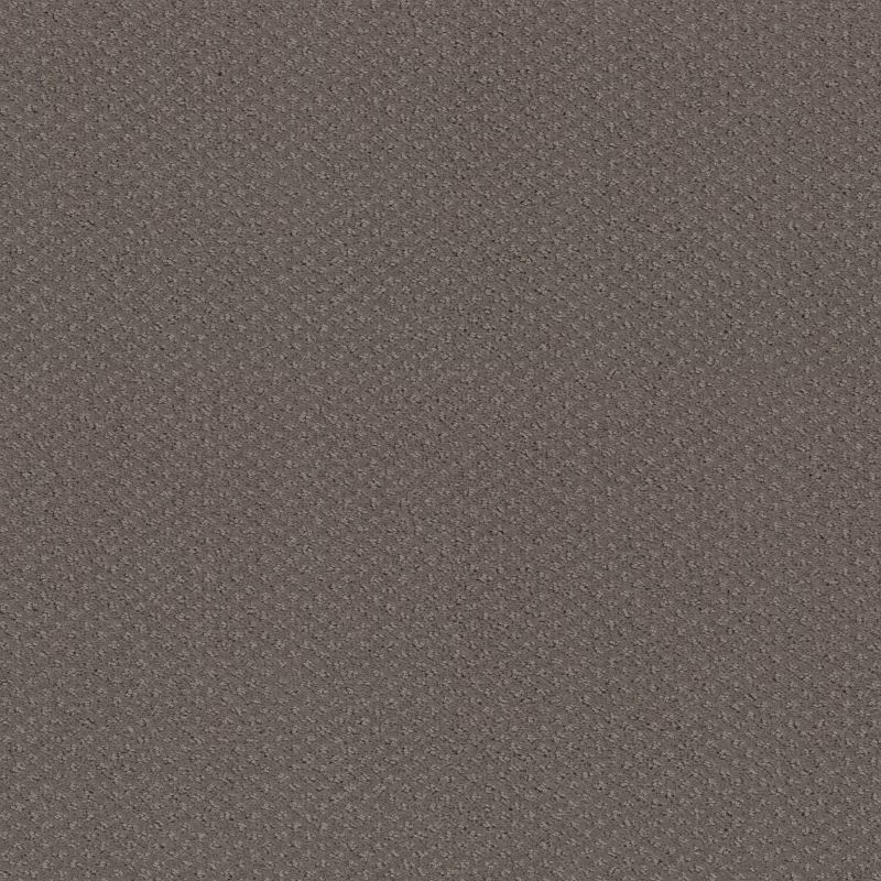 Shaw Floors Foundations Mainstay Ridgeview