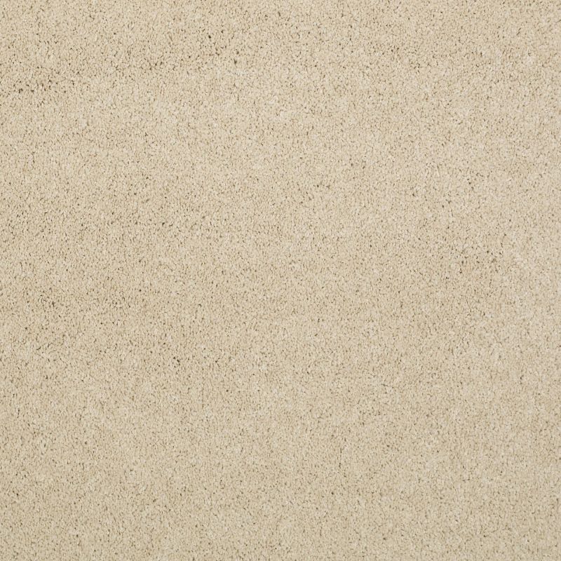 Shaw Floors Value Collections Cashmere Classic III Net Yearling