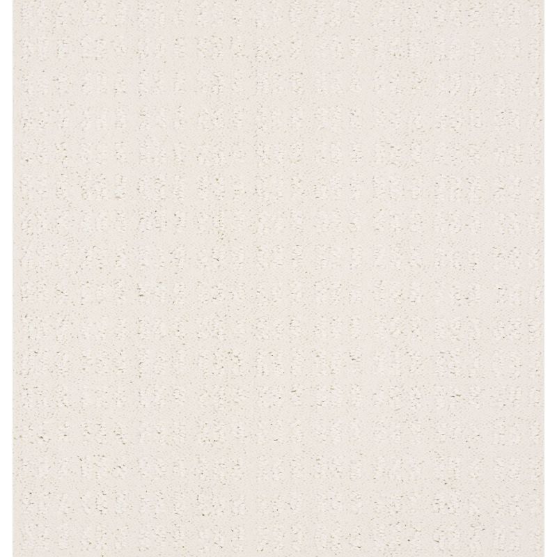 Shaw Floors Foundations Essential Now Net Serene Still