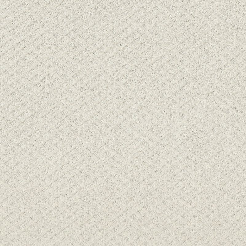 Shaw Floors Foundations Formalize Net Serene Still