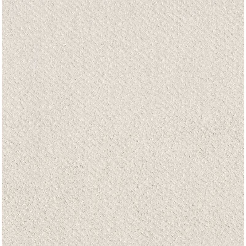 Shaw Floors Foundations Mainstay Net Serene Still