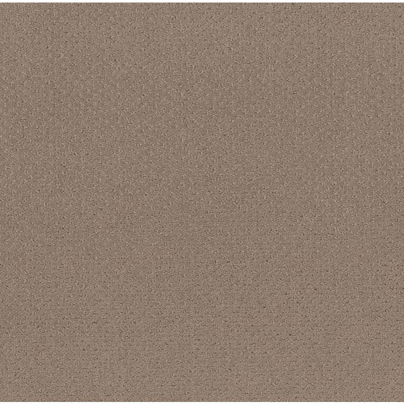 Shaw Floors Foundations Mainstay Net Desert View