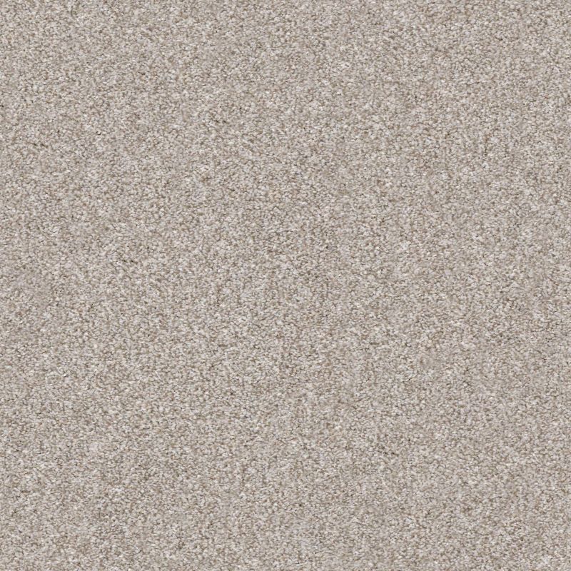 Shaw Floors Just Right I Winter Dunes