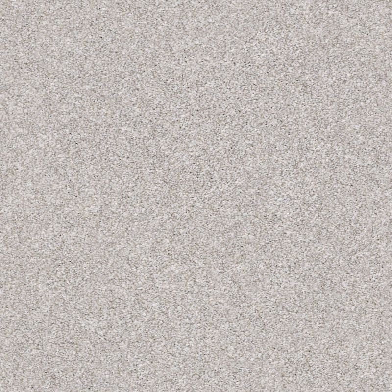 Shaw Floors Simply The Best Make It Mine I Net Soft Fleece