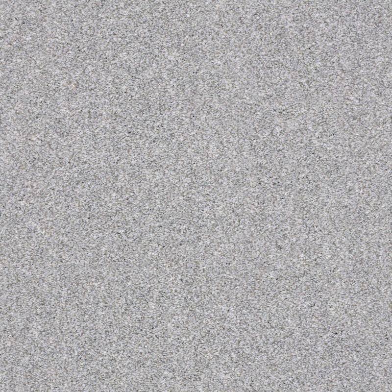 Shaw Floors Simply The Best Make It Mine I Net Sterling