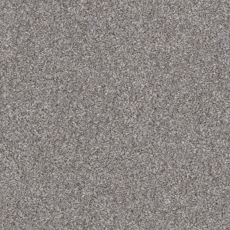 Shaw Floors Simply The Best Make It Mine II Net Cedar Ridge