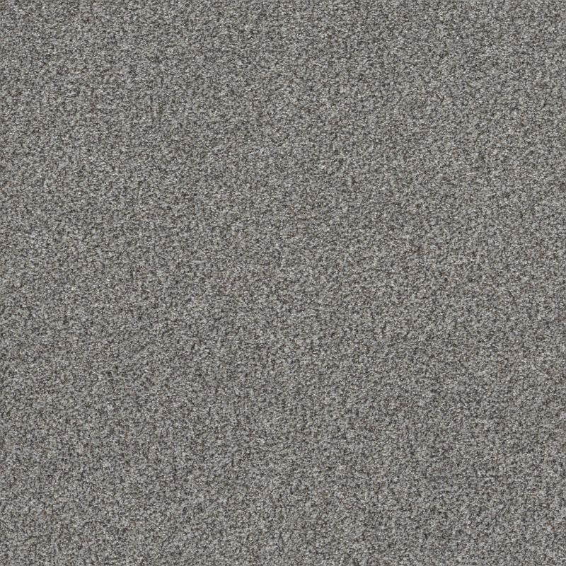Shaw Floors Simply The Best Within Reach II Net Grey Fox