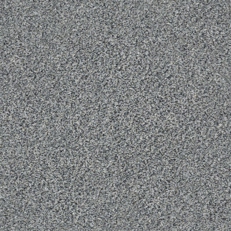 Shaw Floors Simply The Best Within Reach III Net Grey Fox