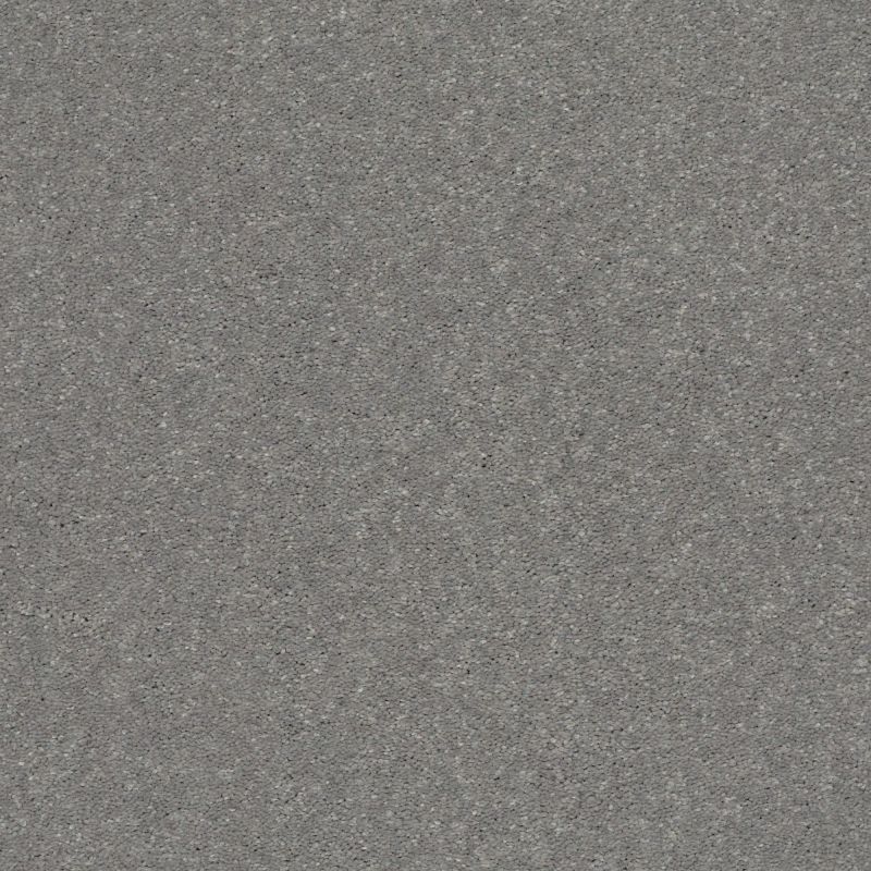 Shaw Floors Simply The Best Solidify II 12 Net Taupe Stone
