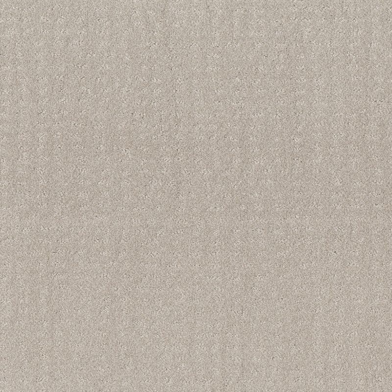 Shaw Floors Foundations Chic Nuance Winters Dawn