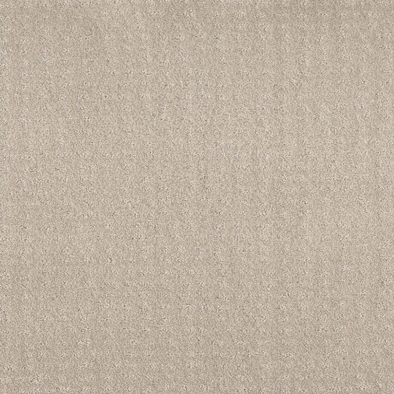 Shaw Floors Foundations Chic Nuance Washed Linen