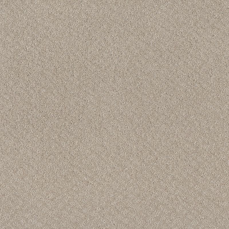 Shaw Floors Foundations Chic Shades Fossil Path