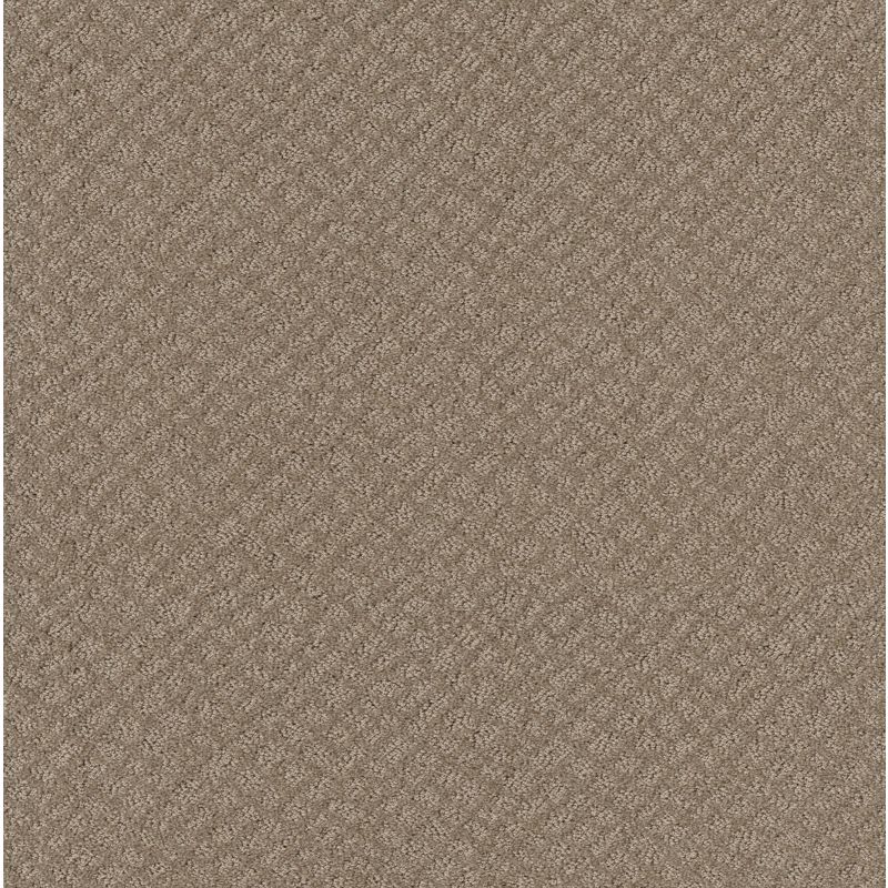 Shaw Floors Foundations Chic Shades Desert View