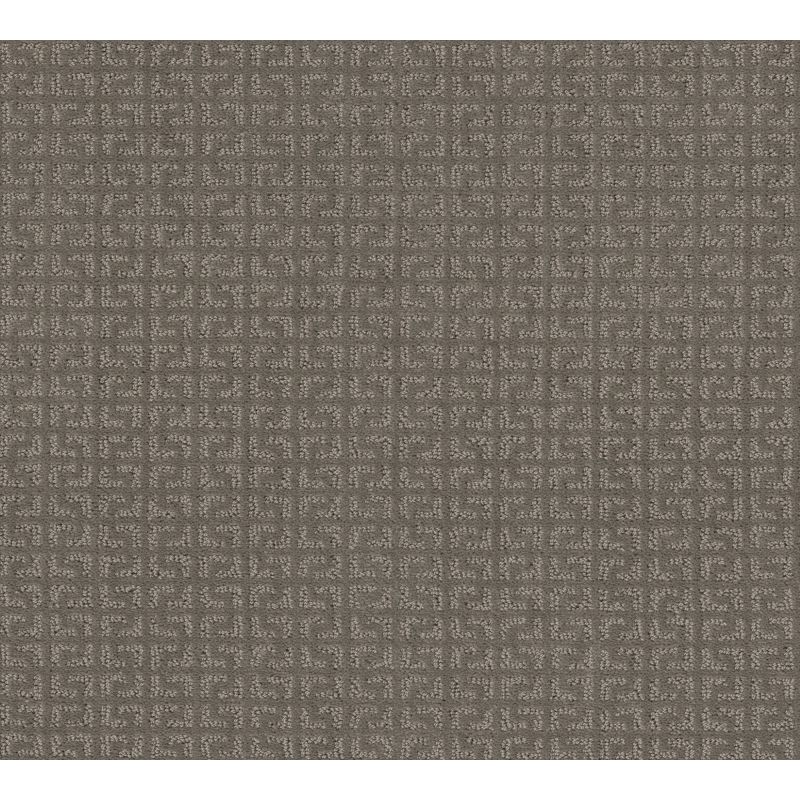 Shaw Floors Simply The Best Vastly Net Iced Mocha