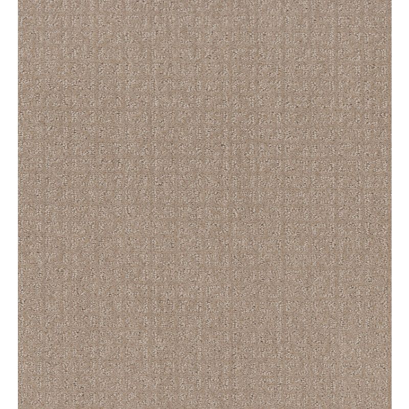 Shaw Floors Simply The Best Transform Net Fresh Baked