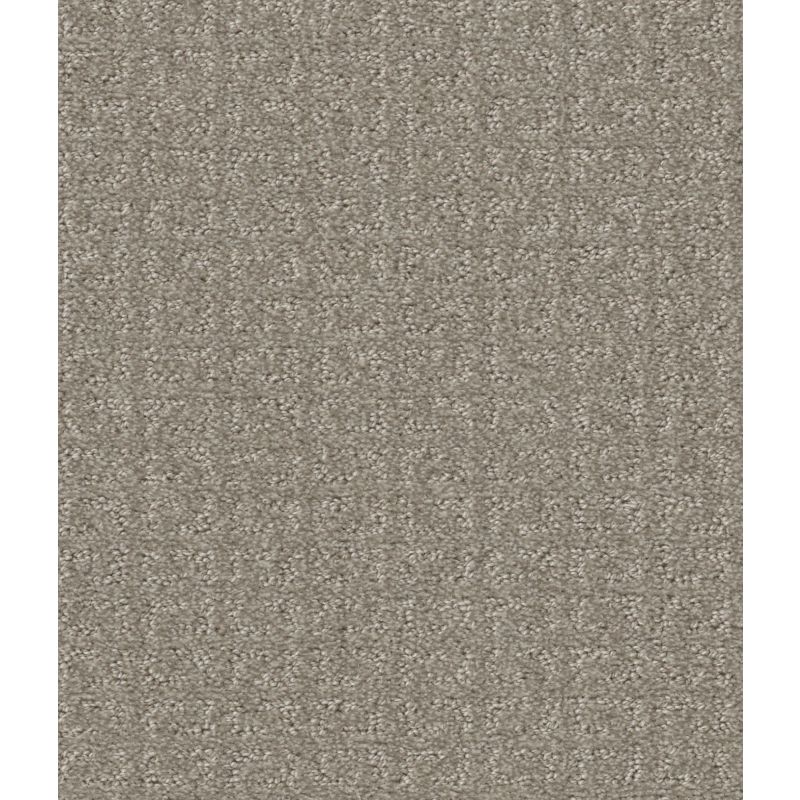 Shaw Floors Simply The Best Transform Net Fossil