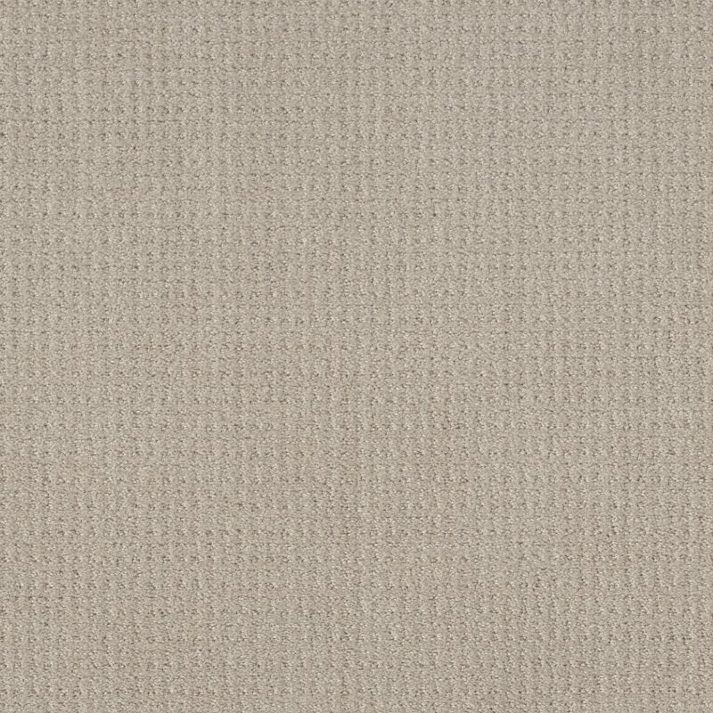 Shaw Floors Simply The Best Translate Net Oatmeal