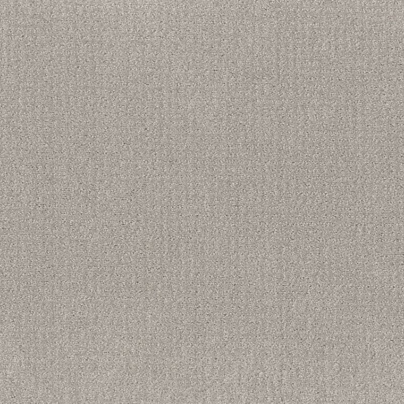 Shaw Floors Simply The Best Translate Net Feather