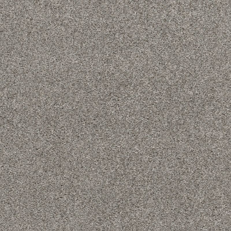 Shaw Floors Pet Perfect Plus Calm Serenity I Net Split Sediment