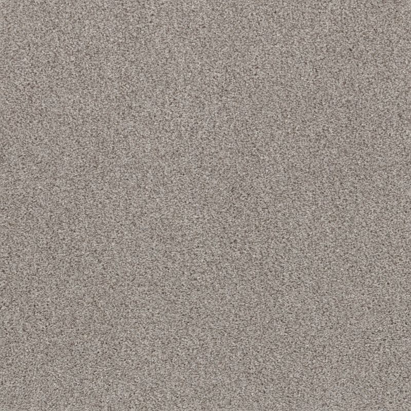 Shaw Floors Pet Perfect Plus Calm Serenity I Net River Run