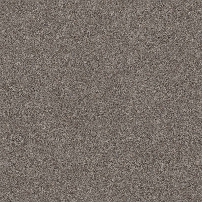 Shaw Floors Pet Perfect Plus Calm Serenity I Net Dark Maple