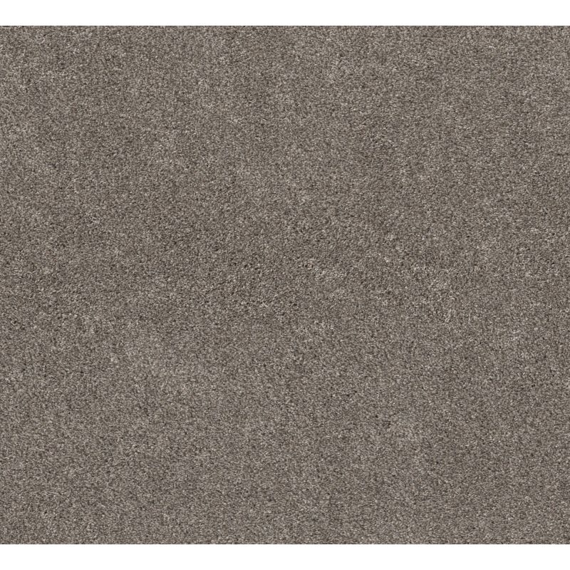 Shaw Floors Pet Perfect Plus Calm Simplicity II Net Desert View