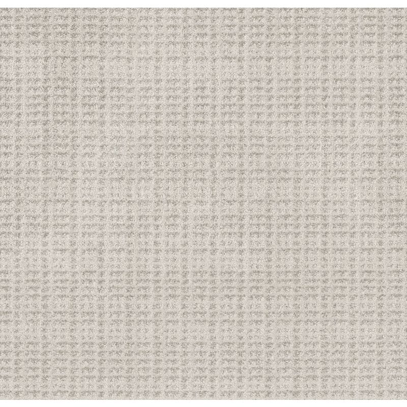 Shaw Floors Pet Perfect Plus Charming Transition Net Winters Dawn