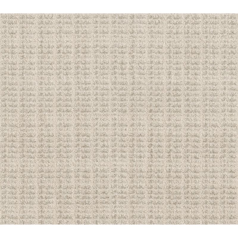 Shaw Floors Pet Perfect Plus Charming Transition Net Washed Linen