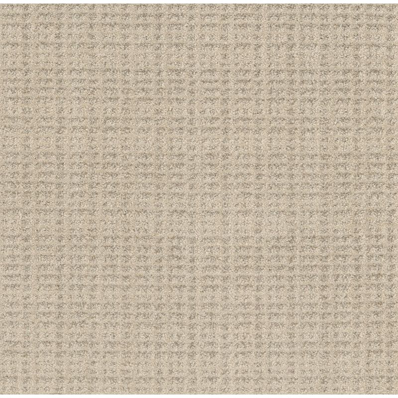 Shaw Floors Pet Perfect Plus Charming Transition Net Butter Cream