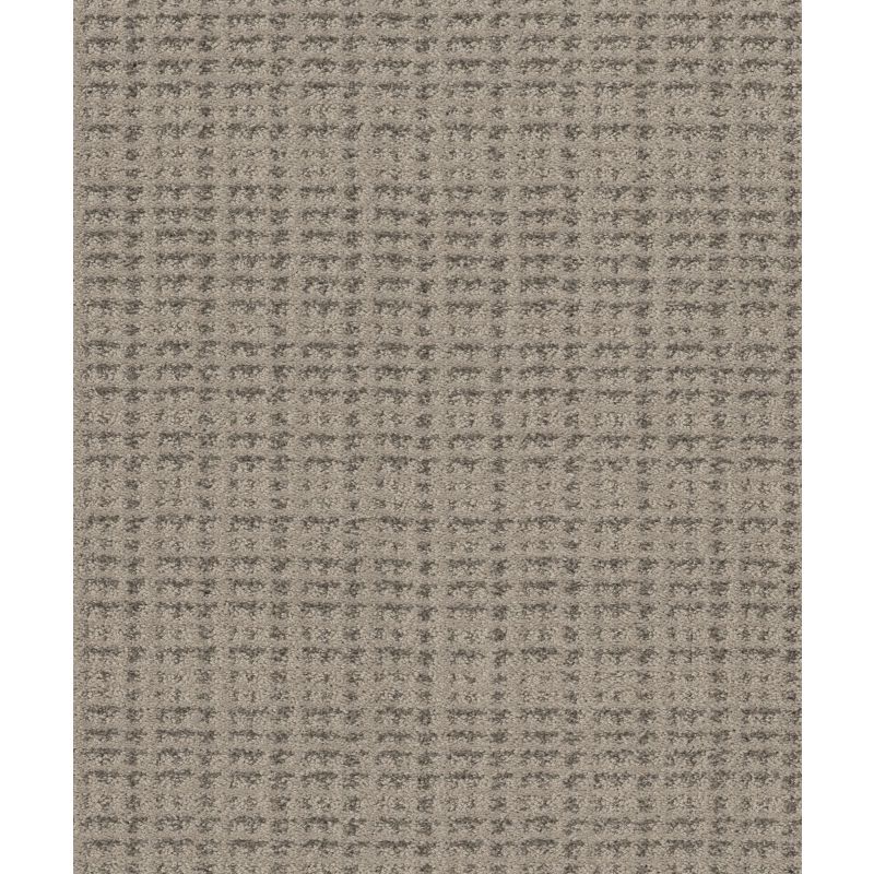 Shaw Floors Pet Perfect Plus Charming Transition Net Newstone Haven