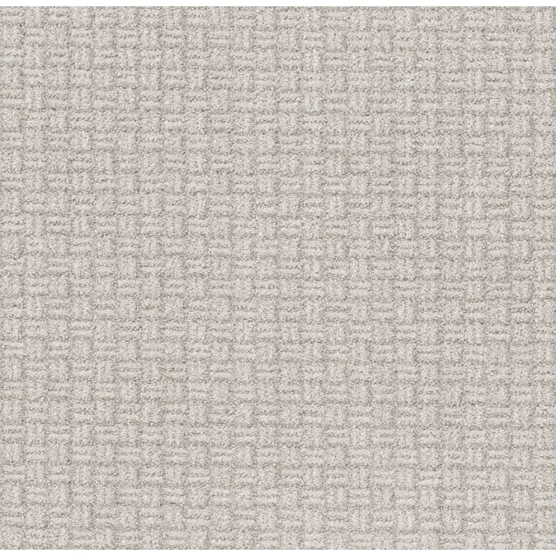 Shaw Floors Pet Perfect Plus Soothing Surround Net Winters Dawn