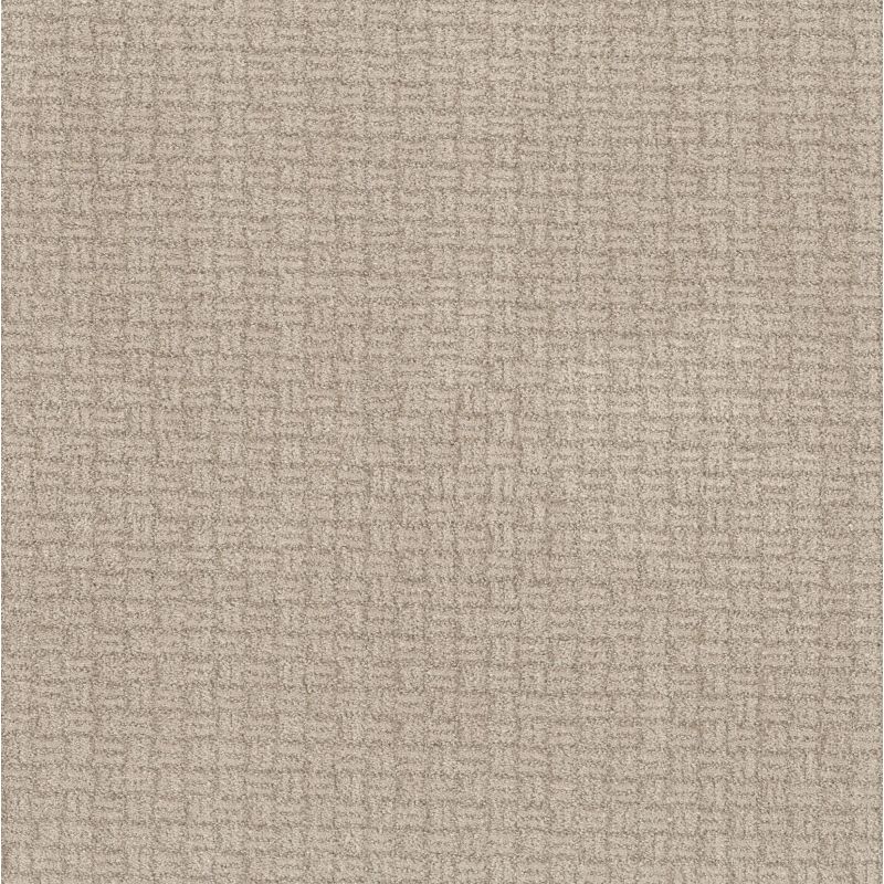 Shaw Floors Pet Perfect Plus Soothing Surround Net Desert View