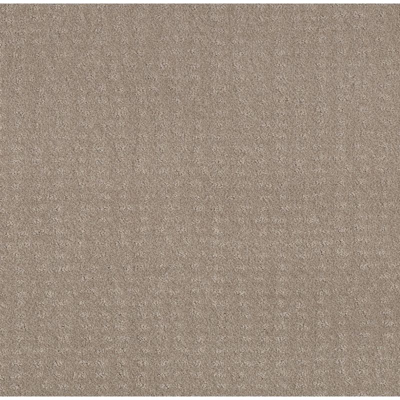 Shaw Floors Foundations Chic Nuance Net Fossil Path