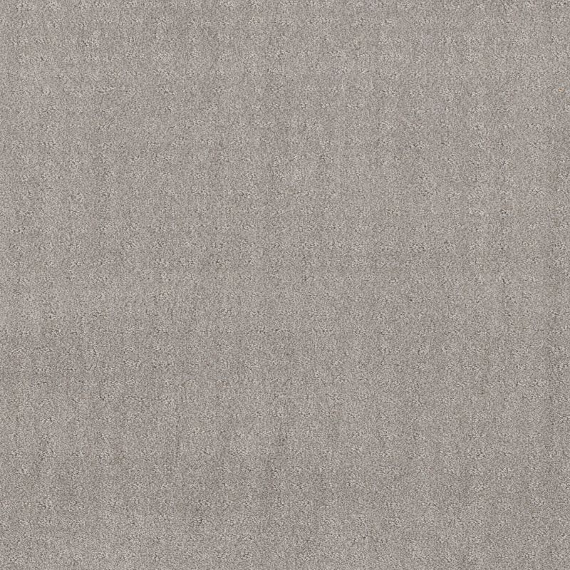 Shaw Floors Foundations Chic Nuance Net Silver Lining