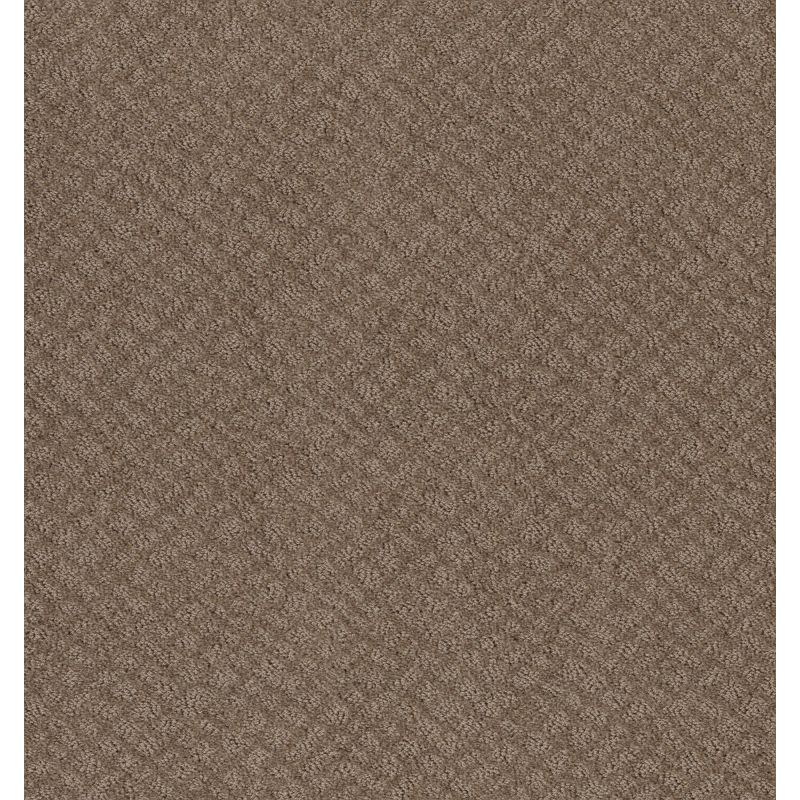 Shaw Floors Foundations Chic Shades Net Raw Wood